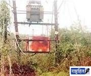 विद्युत प्रवाहाने २ शेळ्या ठार! कांढळी येथील घटना