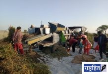 शेतकर्यांची तुर पिक काढणीला वेग! उत्पन्नात घट होण्याची शक्यता