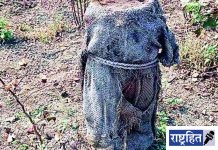 जोडणी न करताच दिले जादा विद्युतदेयक! शेतकऱ्यास मनस्ताप; महावितरणचा भोंगळ कारभार चव्हाट्यावर