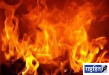 मध्यरात्री गोठ्याला भीषण आग! एका बैलाचा भाजून मृत्यू; तीन जनावरे गंभीर जखमी: पशुपालकाचे मोठे नुकसान