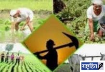 शेतकरी उत्पादक कंपन्यांनी स्मार्ट प्रकल्पामध्ये व्यवसाय विकासासाठी अर्ज करण्याचे आवाहन! बाळासाहेब ठाकरे कृषि व्यवसाय व ग्रामीण परिवर्तन योजना