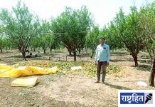 काळोखाचा फायदा घेत मालवाहूच्या मदतीने पळविला मुद्देमाल! पावणेदोन लाखांच्या संत्र्यावर चोरट्याने केला हात साफ