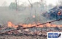 शेतातील गोठ्याला आग! शेतीपयोगी साहित्याची राख; दोरखंड जळाल्यामुळे बांधून असलेली बैलजोडी बचावली