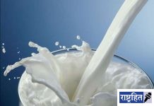 वाढत्या तापमानाचा दूध उत्पादनावर परिणाम! जनावरांच्या दैनंदिन व्यवस्थापनात बदल करणे आवश्यक