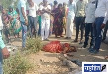 मोटरसायकल खांबावर धडकली पती-पत्नी ठार; करंजी (भोगे) जवळची घटना