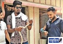 चिमुकलीजवळ आला साप! घरात होती अभ्यास करत