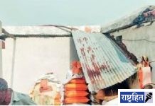 मान्सुनपूर्वी पावसासह वादळ! १७ गोठे, १० घरांची पडझड; डौलदार झाडे कोसळली: घरांची छते उडाल्याने अनेकांचे संसार पडले उघड्यावर