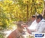 जिल्ह्यात 3.1 लाखांचा दारूसाठा केला जप्त! 32 आरोपांवर गुन्हे दाखल; पोलिसांचे धाडसत्र सुरुच