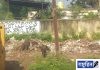 पालिकेचा स्वच्छता पंधरवाडा केवळ कागदावरच! पालिकेला लागूनच घाणीचे साम्राज्य