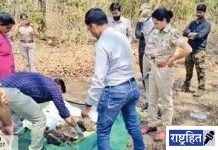 कुजलेल्या जळलेल्या अवस्थेत आढळला बिबट! गिरड परिसरातील डोंगरगाव शिवारातील घटना