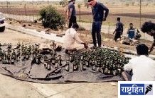 निलगाईला वचविण्याच्या प्रयत्नात दारू भरलेला भरधाव ट्रक उलटला! समृद्धी महामार्गावरील अपघात