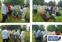 वृक्षारोपणासह संगोपणासाठी एकवटले बहुसंख्य हात! नागटेकडी परिसर श्रमदानातून फळझाडांनी बहरणार; तपोवन बहुउद्देशिय संस्थेचा प्रेरणादायी उपक्रम