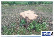 अवैध वृक्षतोड विरोधात जलसमाधी आंदोलन! तोडलेल्या झाडालगत असलेल्या विहिरीत घेतली उडी; अधिकारी घटनास्थळी दाखल