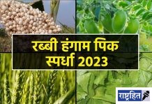 शेतकऱ्यांसाठी रब्बी हंगाम पिकस्पर्धा