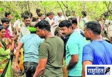 तेंदूपत्ता तोडणाऱ्याला वाघाने केले ठार! लिंगा मांडवी बीटातील घटना, मोठे धाडस करून पूर्वी पळविले होते अस्वलीला