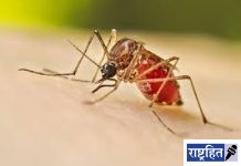 डेंग्यूचा डंख! एकाच महिन्यात चार रुग्ण