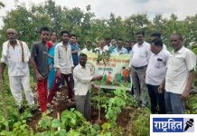 वृक्षांशिवाय माणवी जीवणाला अस्तित्व नाही : प्रविण धोपटे ; नागटेकडी परिसरात वृक्षारोपण