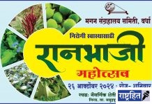 गिरड येथे रानभाजी महोत्सवाचे आयोजन ! रानभाजी प्रदर्शनासह पाककृतीची मेजवानी ; मगन संग्रहालयाचे आयोजन