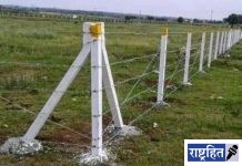 कुंपणात वीजप्रवाह सोडल्यास होणार गुन्हा दाखल! आकडे टाकून वीजचाेरीही : महावितरणने घेतली गंभीर दखल