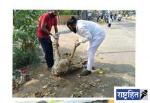 माणुसकीचा हात देत वृद्ध मनोरुग्णाची मदत ; महामानवास खऱ्या अर्थाने अभिवादन ! जपली सामाजिक बांधिलकी