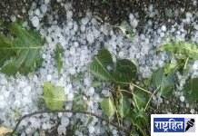 गारपिट, वादळाचा तडाखा ; उन्हाळी व फळपिकांची वाताहत ; अनेक गावांमध्ये अवकाळी पावसाचा कहर