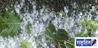 गारपिट, वादळाचा तडाखा ; उन्हाळी व फळपिकांची वाताहत ; अनेक गावांमध्ये अवकाळी पावसाचा कहर