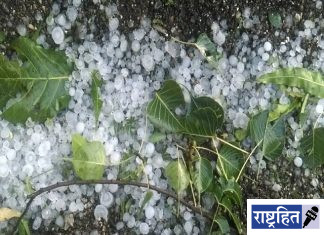 गारपिट, वादळाचा तडाखा ; उन्हाळी व फळपिकांची वाताहत ; अनेक गावांमध्ये अवकाळी पावसाचा कहर