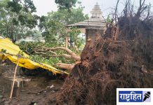 वादळी पावसाचा कहर : पवनारमध्ये पिंपळाचे मोठे झाड कोसळले, चिवड्याच्या दुकानाचे मोठे नुकसान
