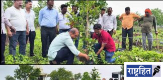 पर्यावरणाचे संतुलन राखू तरच जीवसृष्टीचे अस्तित्व ; डॉ. सचिन पावडे, पवनार येथील नागटेकडी परिसरात फळरोपांची लागवड