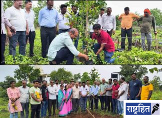पर्यावरणाचे संतुलन राखू तरच जीवसृष्टीचे अस्तित्व ; डॉ. सचिन पावडे, पवनार येथील नागटेकडी परिसरात फळरोपांची लागवड