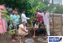 वृक्षारोपणातून अण्णाभाऊ साठे यांना मानवंदना ; अण्णाभाऊंच्या विचारांना कृतीची जोड ! तपोवन संस्था व अण्णाभाऊ साठे उत्सव समितीचा उपक्रम