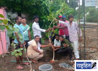 वृक्षारोपणातून अण्णाभाऊ साठे यांना मानवंदना ; अण्णाभाऊंच्या विचारांना कृतीची जोड ! तपोवन संस्था व अण्णाभाऊ साठे उत्सव समितीचा उपक्रम