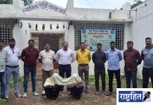 खुनातील फरार आरोपी अखेर जेरबंद ; ड्रोनच्या सहाय्याने पोलिसांचा सापळा ! पडेगाव शिवारातून अटक