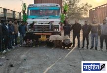 कंटेनरमधून जनावरांची अवैध वाहतूक उघडकीस ! स्थानिक गुन्हे शाखेची धडक कारवाई ; २५ म्हशींना मिळाले जिवदान