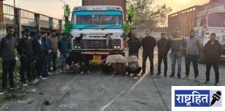 कंटेनरमधून जनावरांची अवैध वाहतूक उघडकीस ! स्थानिक गुन्हे शाखेची धडक कारवाई ; २५ म्हशींना मिळाले जिवदान