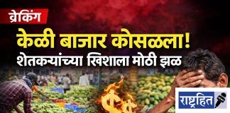 केळी बाजार कोसळला! शेतकऱ्यांच्या खिशाला मोठी झळ ; उच्च दर्जाच्या मालाला ८५० रुपयांचा भाव