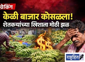 केळी बाजार कोसळला! शेतकऱ्यांच्या खिशाला मोठी झळ ; उच्च दर्जाच्या मालाला ८५० रुपयांचा भाव