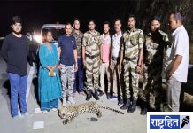 अज्ञात वाहनाच्या धडकेत बिबट्याचा मृत्यू ; समृद्धी महामार्गावर घटना