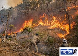 वणव्यांचा वाढता धोका ; मानवनिर्मित आगींनी वनसंपदेचे मोठे नुकसान