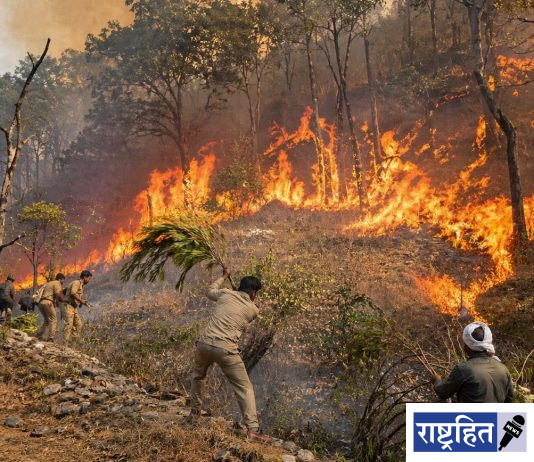 वणव्यांचा वाढता धोका ; मानवनिर्मित आगींनी वनसंपदेचे मोठे नुकसान