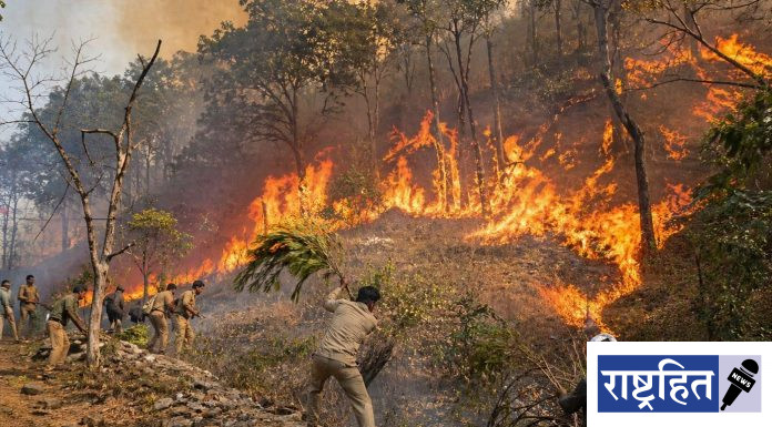 वणव्यांचा वाढता धोका ; मानवनिर्मित आगींनी वनसंपदेचे मोठे नुकसान