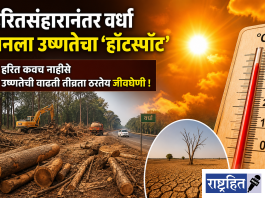 हरितसंहारानंतर वर्धा बनला उष्णतेचा ‘हॉटस्पॉट’ ; उष्णतेचा विळखा घट्ट ! हरित कवच नाहीसे ; उष्णतेची वाढती तीव्रता ठरतेय जीवघेणी