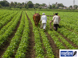 वर्धा जिल्ह्यात खरीप पेरणीचे व्यापक नियोजन ; ४.१९ लाख हेक्टर क्षेत्राचे उद्दिष्ट