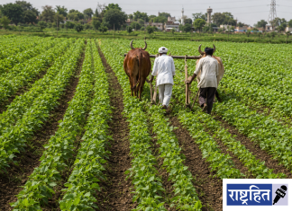 वर्धा जिल्ह्यात खरीप पेरणीचे व्यापक नियोजन ; ४.१९ लाख हेक्टर क्षेत्राचे उद्दिष्ट
