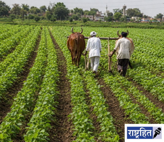वर्धा जिल्ह्यात खरीप पेरणीचे व्यापक नियोजन ; ४.१९ लाख हेक्टर क्षेत्राचे उद्दिष्ट