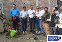 वर्ध्यात पुन्हा बहरणार गावरानी आंबे ; संवर्धन मोहिमेला सुरुवात ! वन विभाग आणि निसर्गप्रेमींचा अभिनव उपक्रम