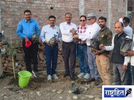 वर्ध्यात पुन्हा बहरणार गावरानी आंबे ; संवर्धन मोहिमेला सुरुवात ! वन विभाग आणि निसर्गप्रेमींचा अभिनव उपक्रम