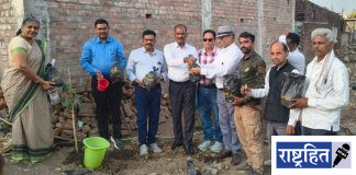 वर्ध्यात पुन्हा बहरणार गावरानी आंबे ; संवर्धन मोहिमेला सुरुवात ! वन विभाग आणि निसर्गप्रेमींचा अभिनव उपक्रम