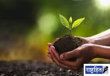 जिल्ह्यात तब्बल ५०० हेक्टर क्षेत्रावर दाटणार हिरवळ ! आज जागतिक पर्यावरनदिन : ३00 कोटी वृक्ष लागवड उपक्रम